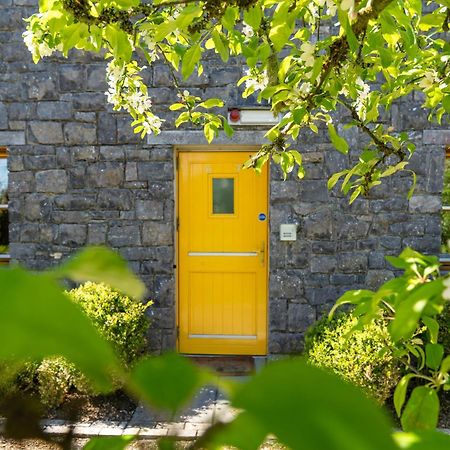 Burren Court Lodge Баливоган Екстериор снимка
