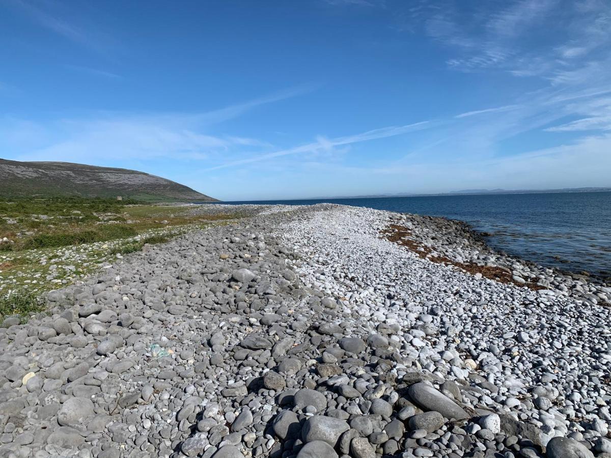 Burren Court Lodge Баливоган Екстериор снимка